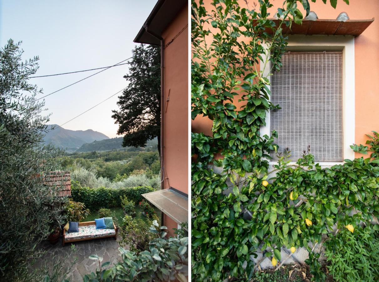 Casetta Di Butia, Ginestra Apartment With Swimming Pool Борго а Моцано Екстериор снимка