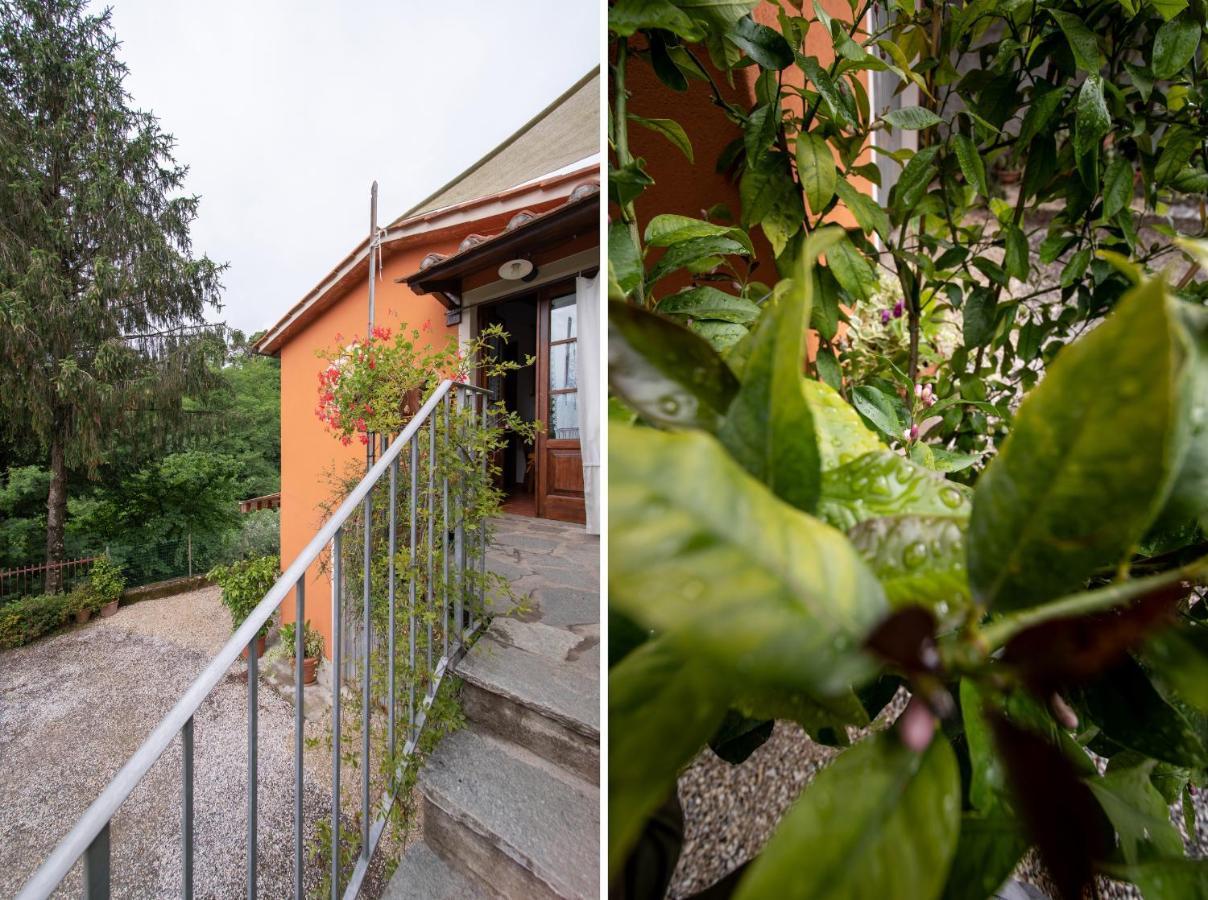 Casetta Di Butia, Ginestra Apartment With Swimming Pool Борго а Моцано Екстериор снимка