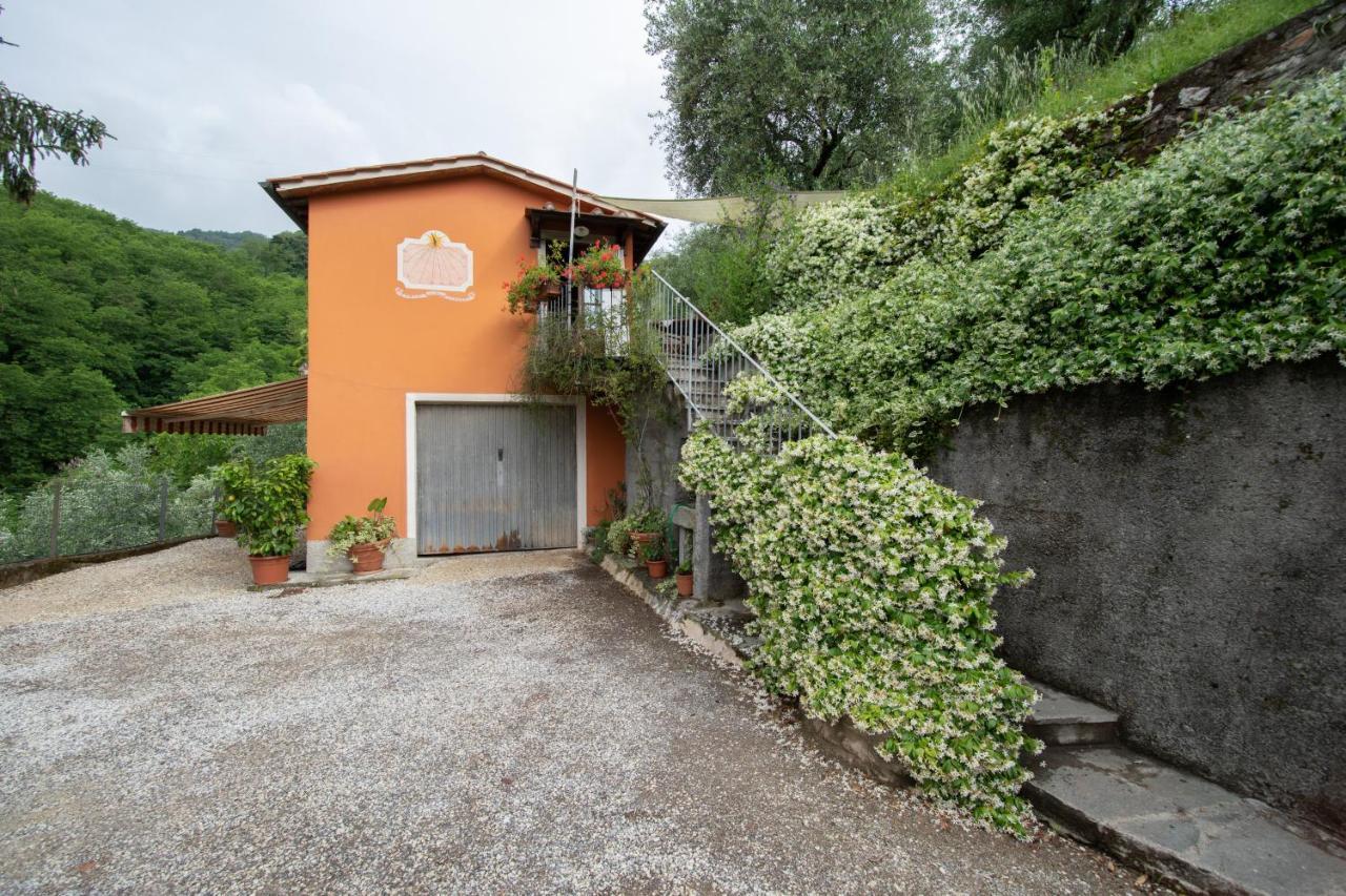 Casetta Di Butia, Ginestra Apartment With Swimming Pool Борго а Моцано Екстериор снимка